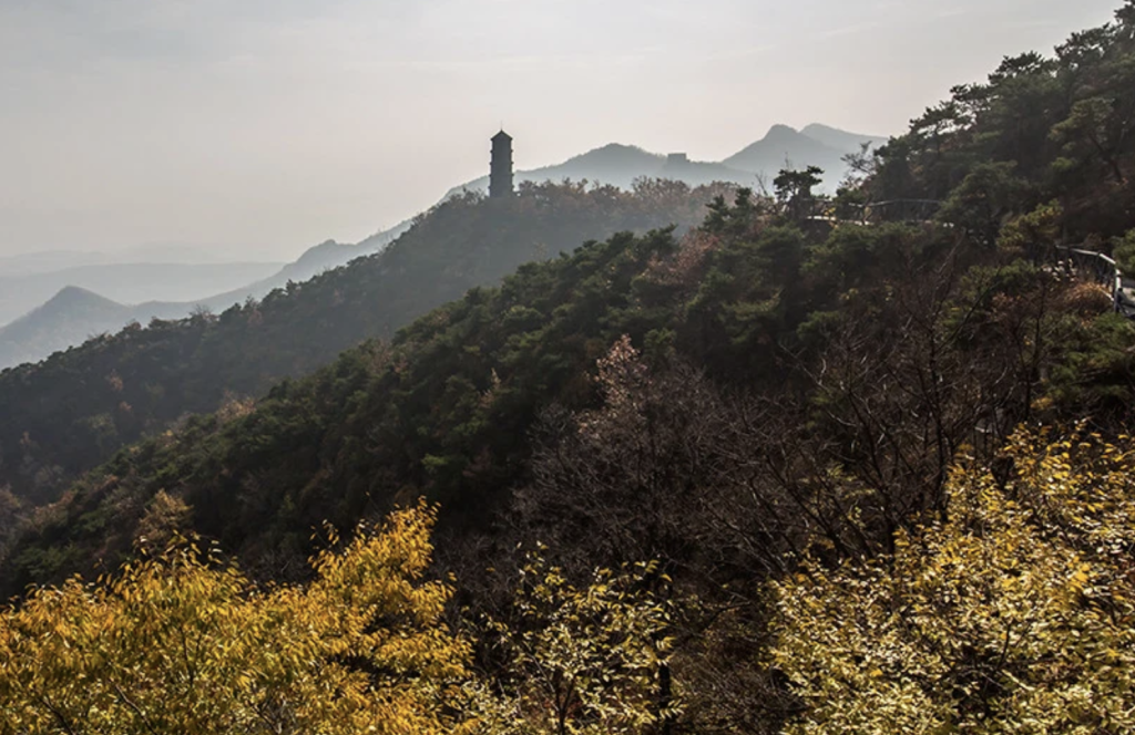 大青山介绍